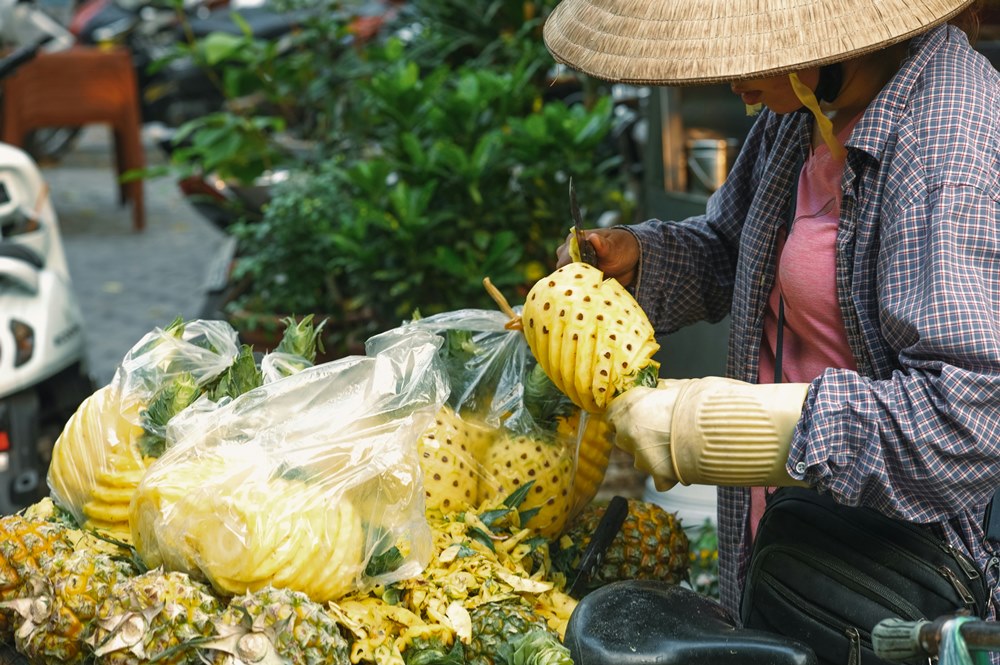 Fruit for Thought on - VinFast Vietnam Trip