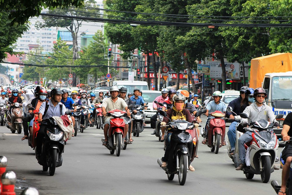 Fruit for Thought on - VinFast Vietnam Trip